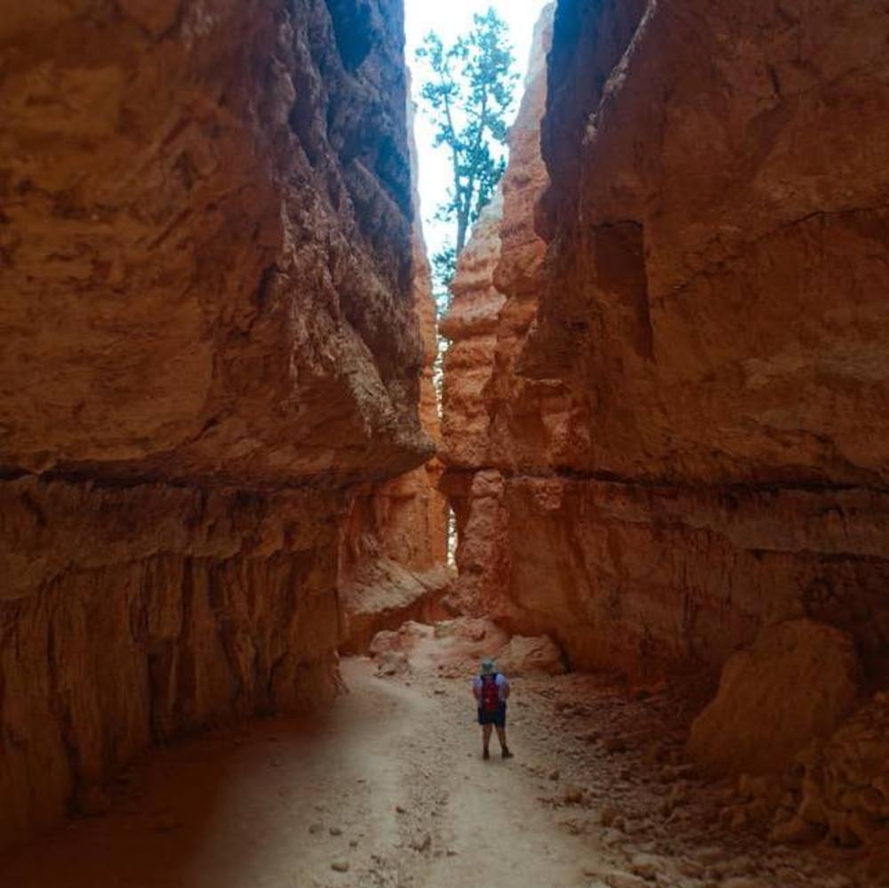 Meet your Posher, Suzi